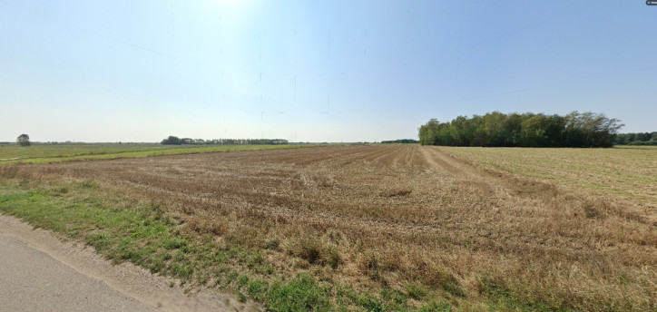 Działka Sprzedaż Nowe Zakrzewo 8
