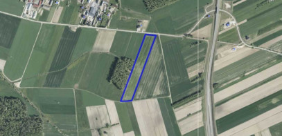 Działka Sprzedaż Nowe Zakrzewo