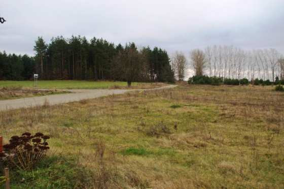 Działka Sprzedaż Krzewo 4